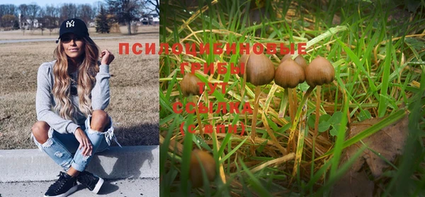 прущий лед Белокуриха