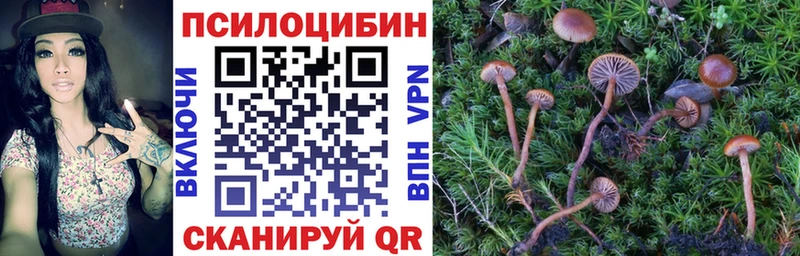 купить   Новочебоксарск  blacksprut рабочий сайт  сайты даркнета состав  Галлюциногенные грибы MAGIC MUSHROOMS 