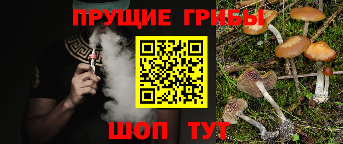 Псилоцибиновые грибы мухоморы  Вход с VPN  Новочебоксарск 
