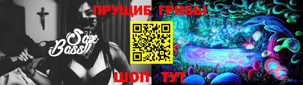Псилоцибиновые грибы Psilocybe Новочебоксарск